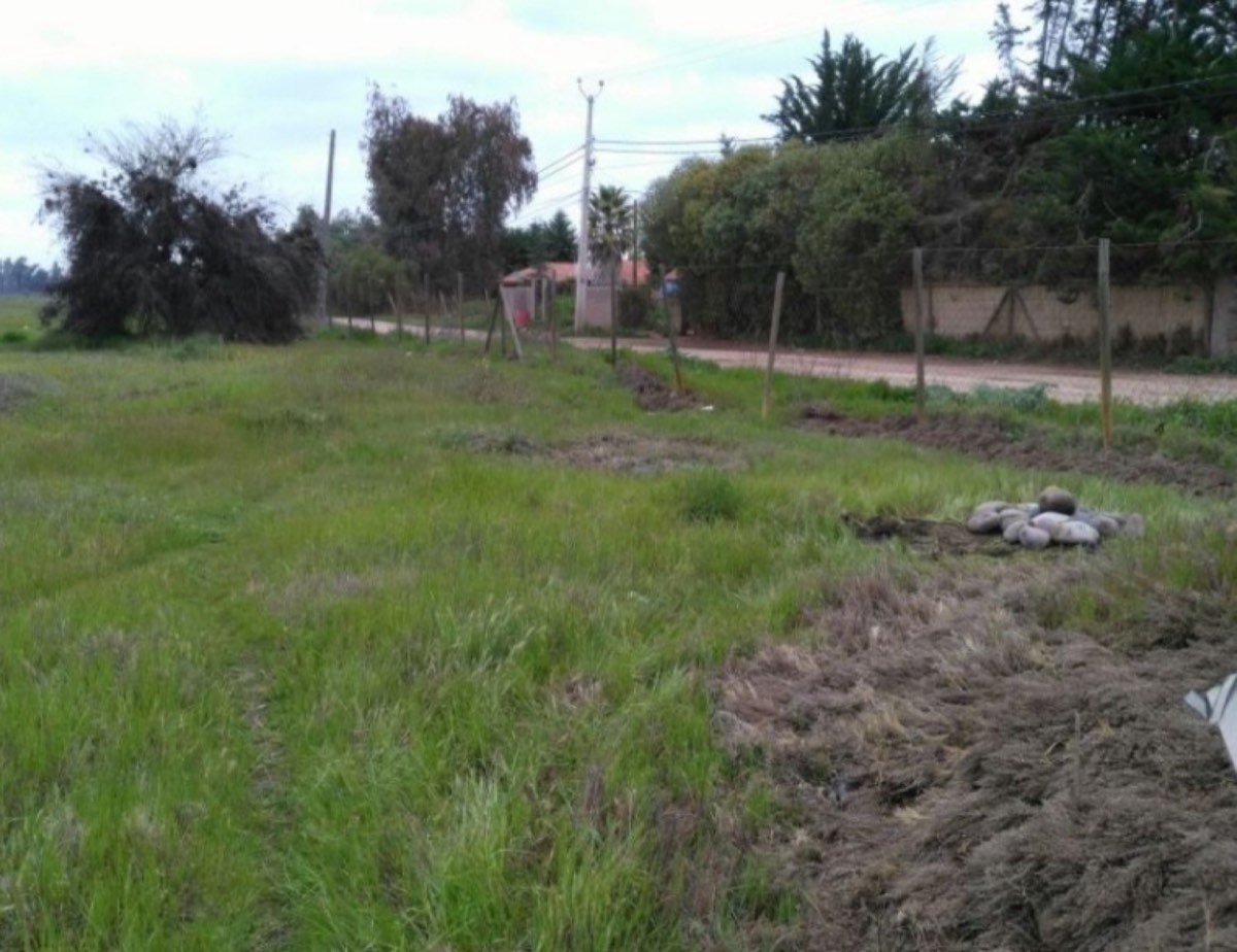 Venta de terreno de 50002 agroindustrial