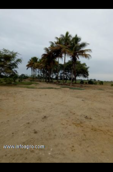 Se vende terreno agrícola de 21.5 ha
