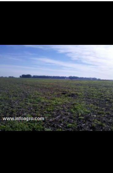 Se vende campo ganadero en buenos aires