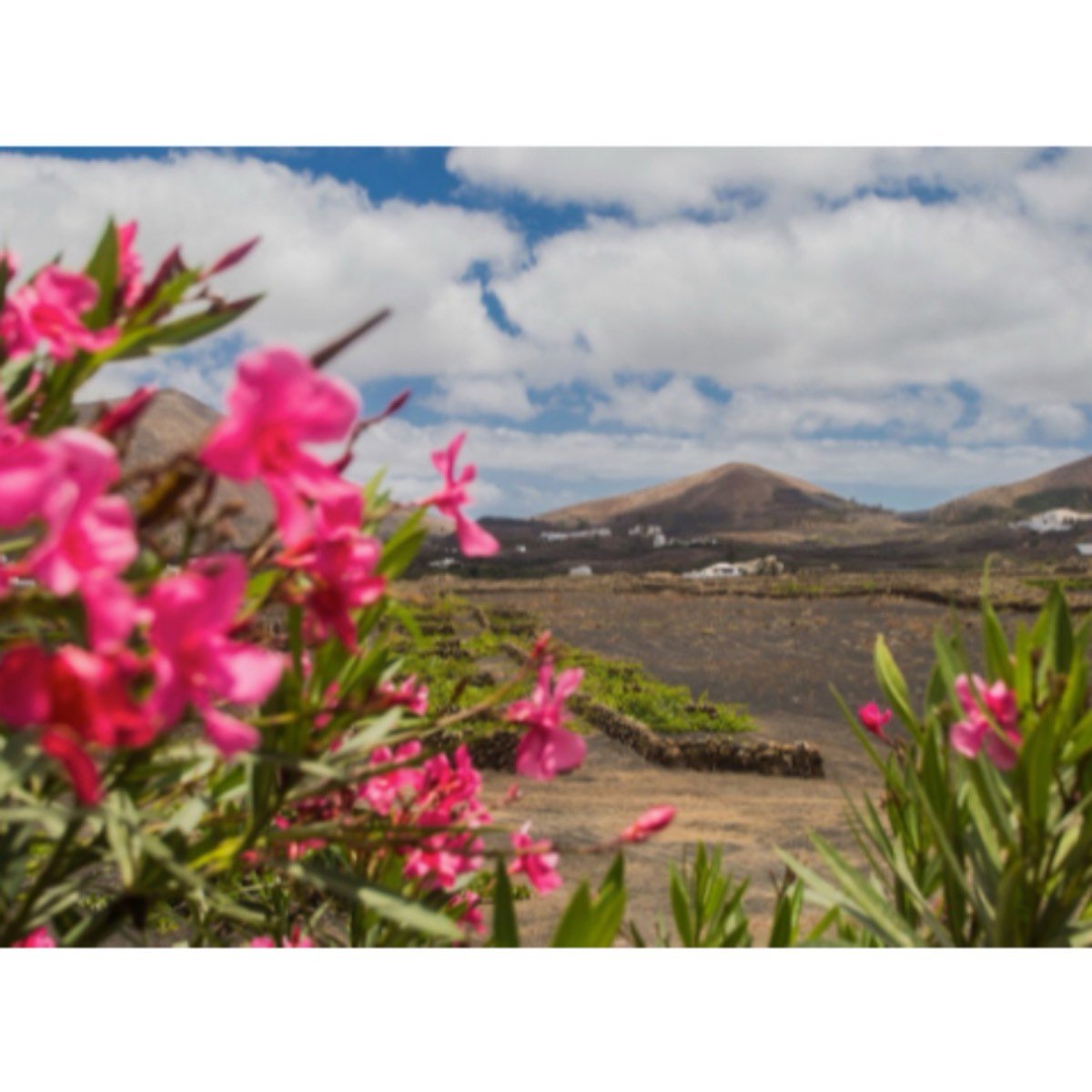 MANTENIMIENTO Y CUIDADO FINCA