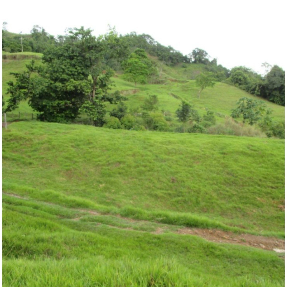 PUERTO BOYACÁ- GANADERA PISCÍCOLA- 45 HA. AGUASENE
