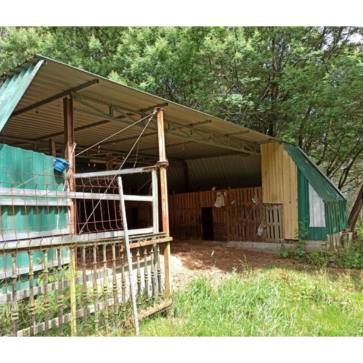 FINCA EN VIMIANZO