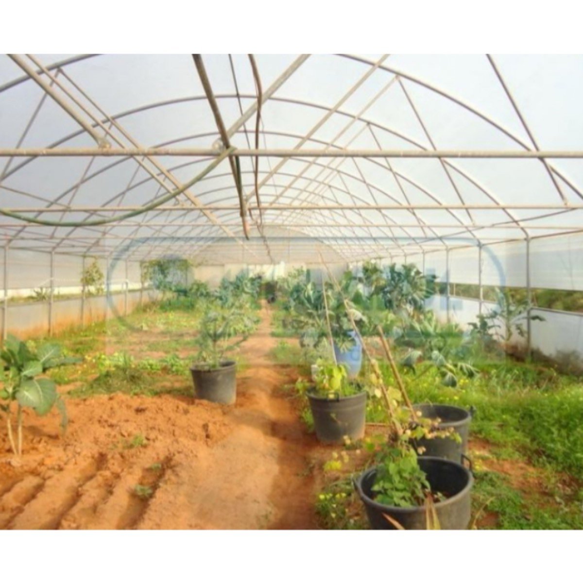 Vila-nova-de-gaia-Quintinha em Grijó