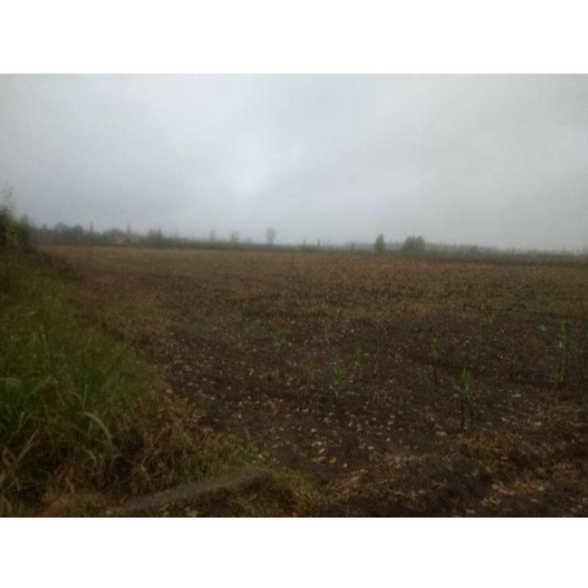 Venta de Lotes a 650.000 pesos, 3000 m²