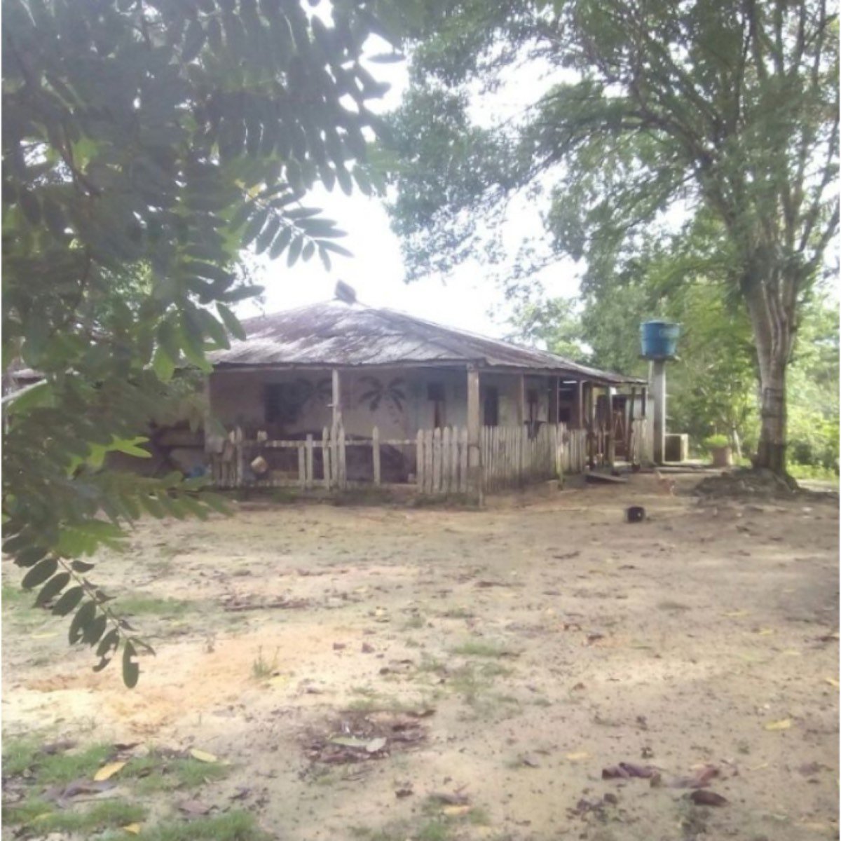 Finca Ganadera De 170 Hectáreas