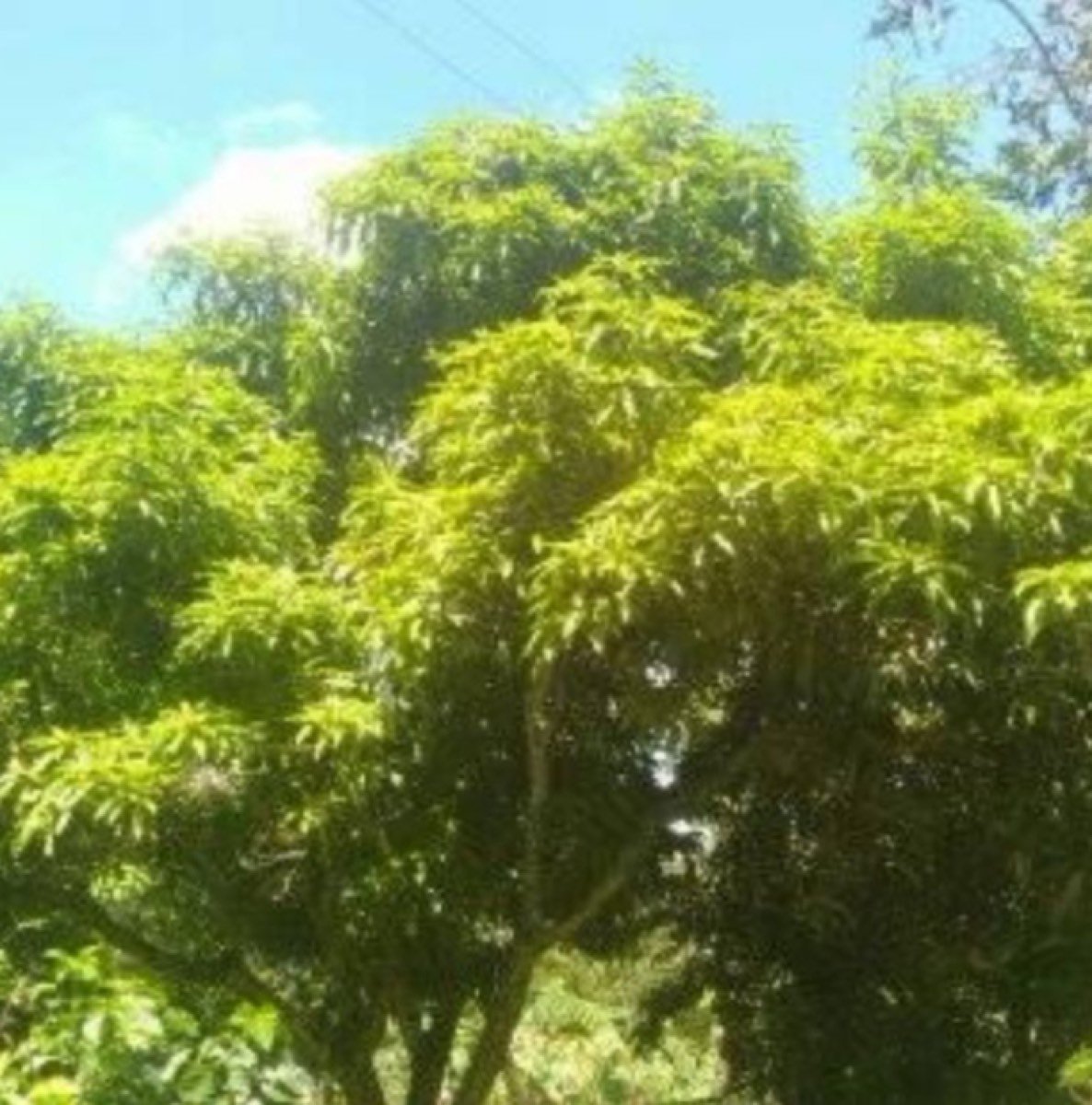 Se vende hermosa finca cerca de Bogotá