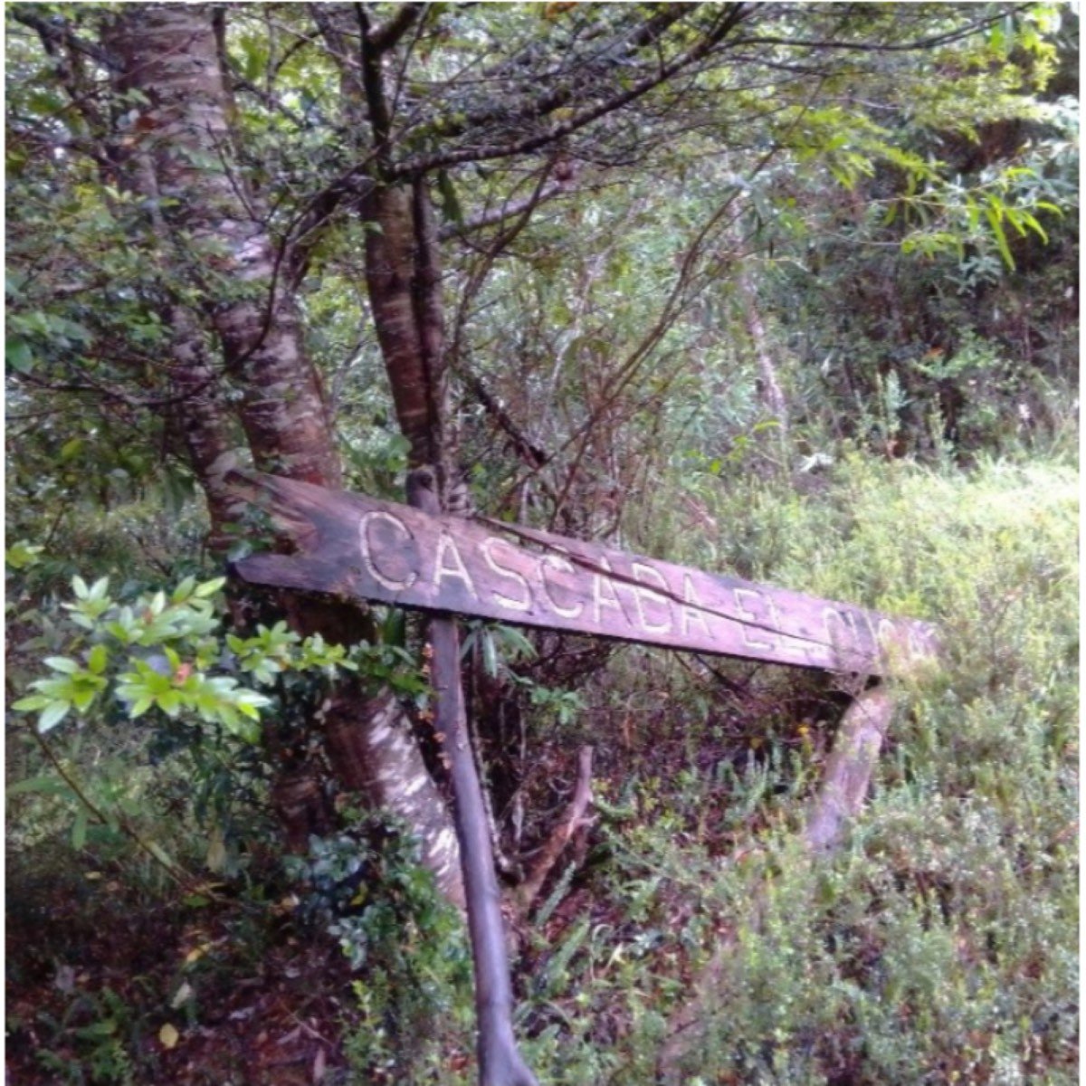 Se vende campo ROL PROPIO. PARQUE TARAHUIN TERAO