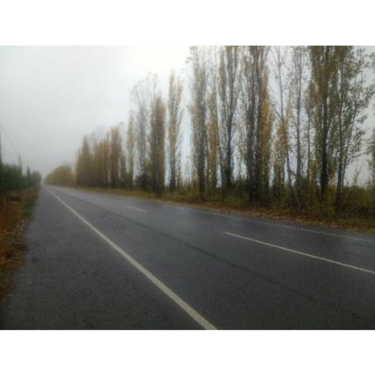 Venta de Lotes a 650.000 pesos, 3000 m²