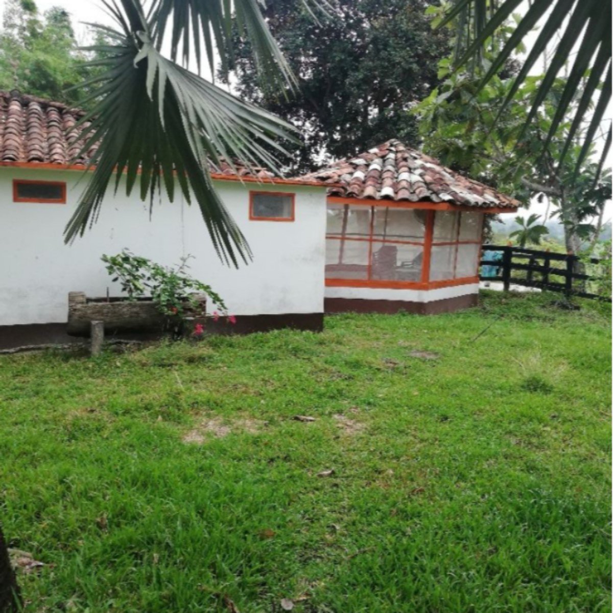 Vendo Buena Finca Ganadera de 350 Hectáreas