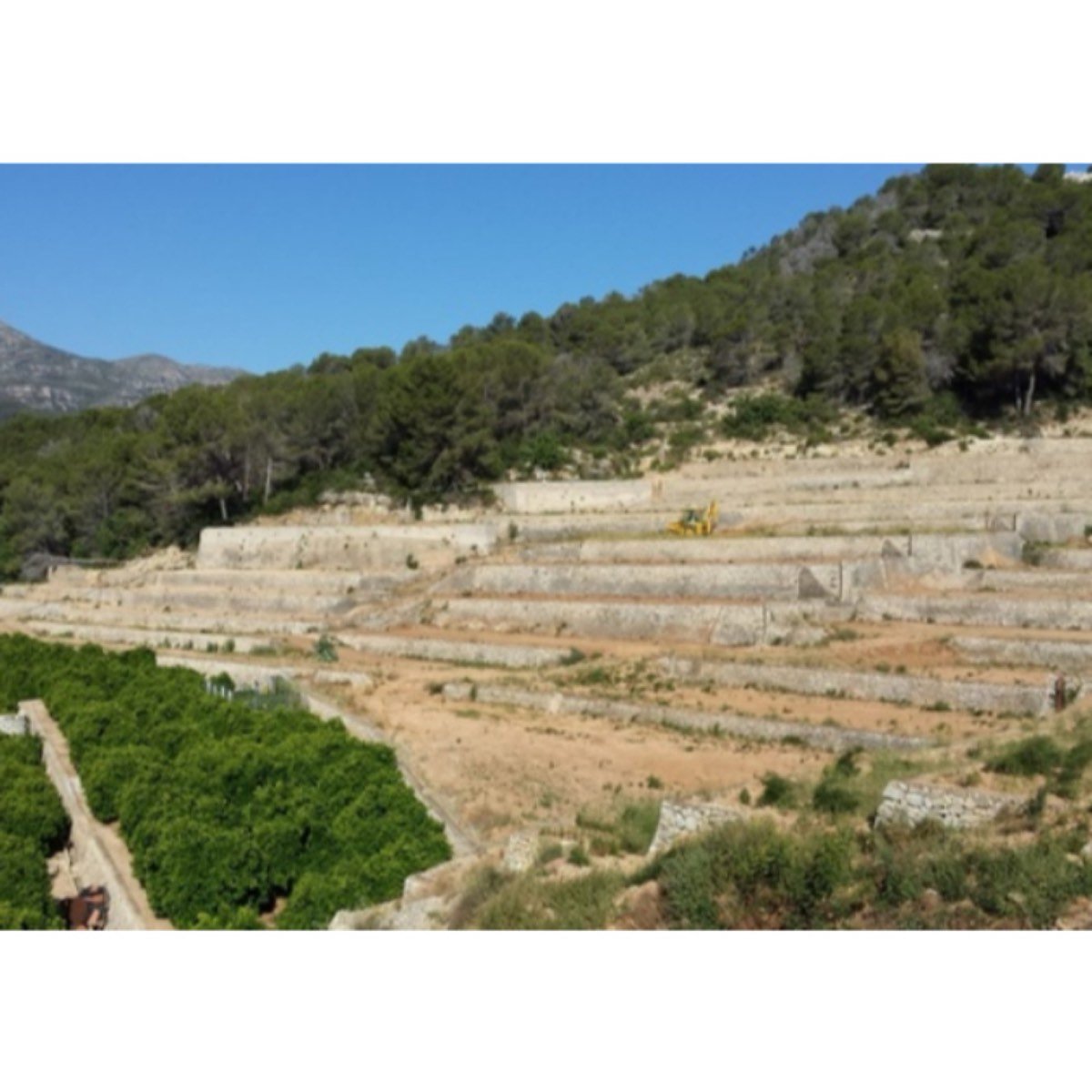 FINCA EN XERESA