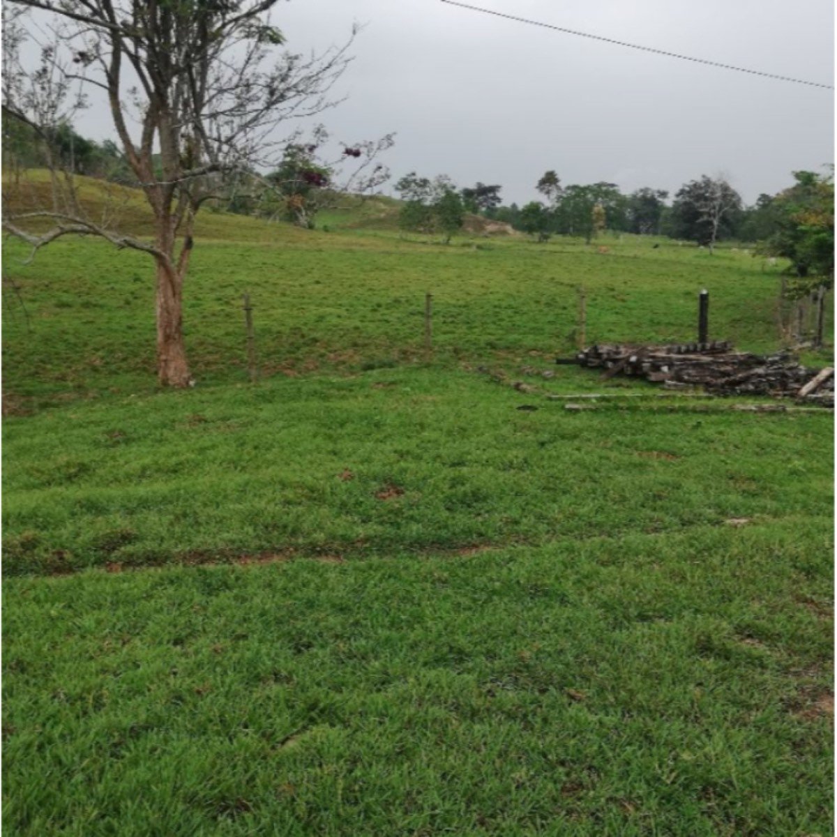 Vendo Buena Finca Ganadera de 350 Hectáreas