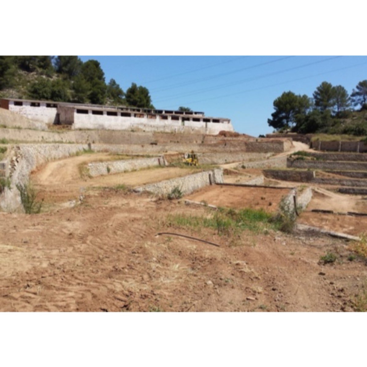 FINCA EN XERESA