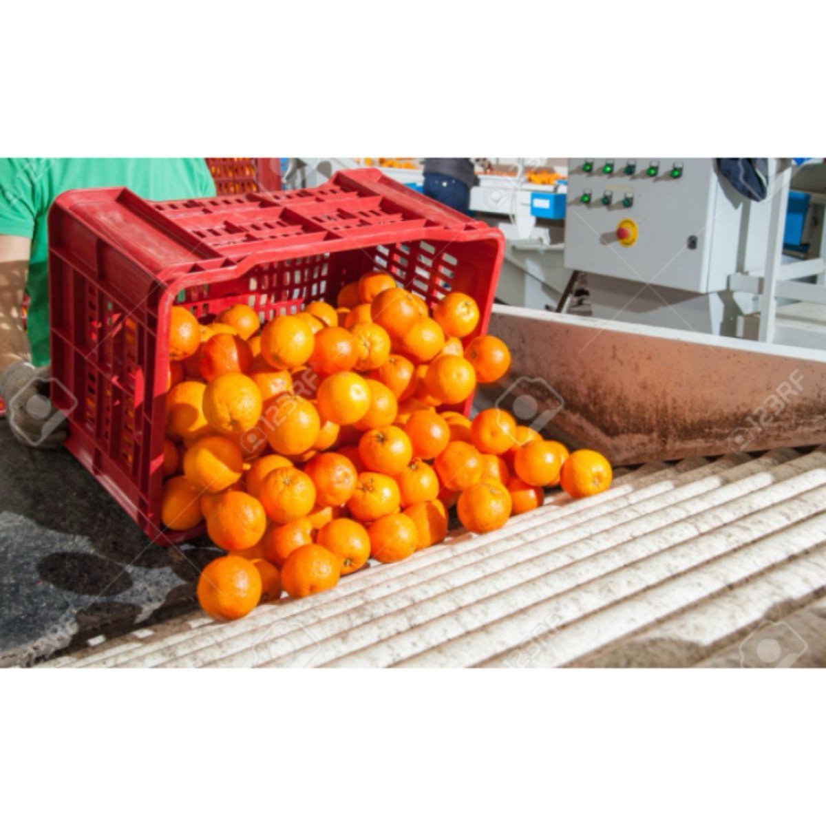 TRABAJO NARANJA