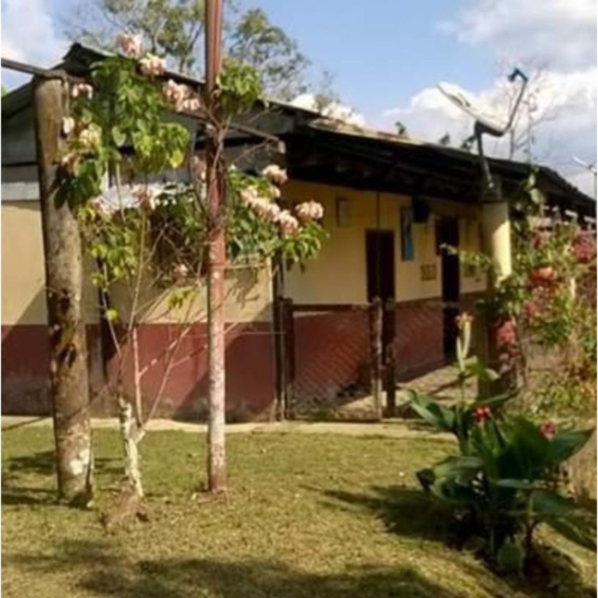 Vendo Finca Cacaotera de 20 Hectáreas