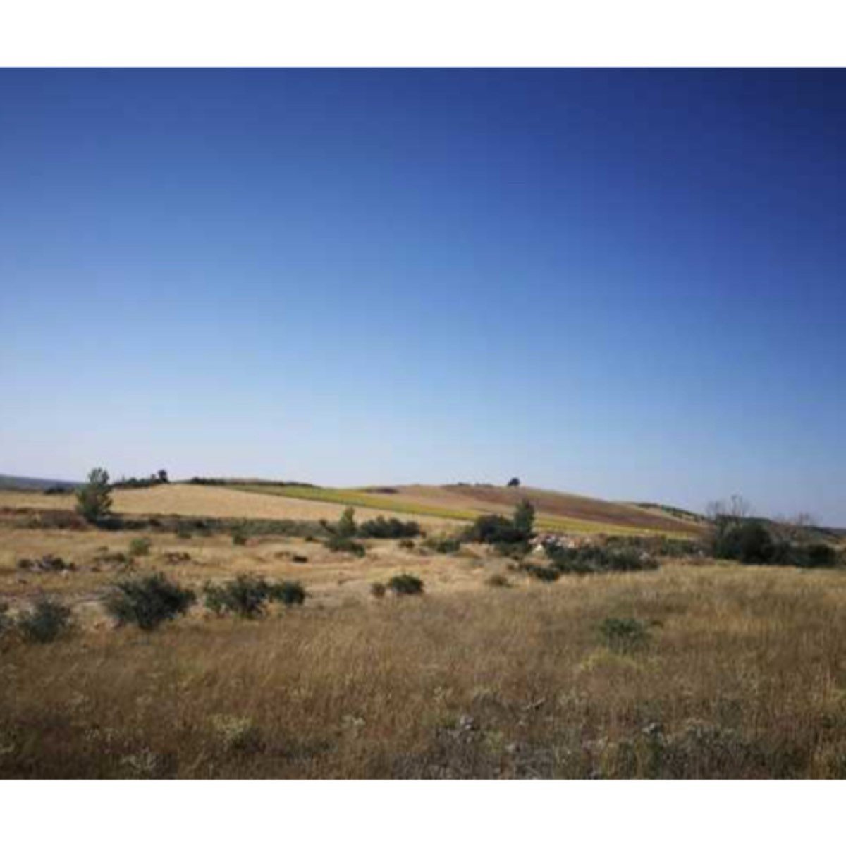 COTAR / RUBENA A 14KMS DE BURGOS