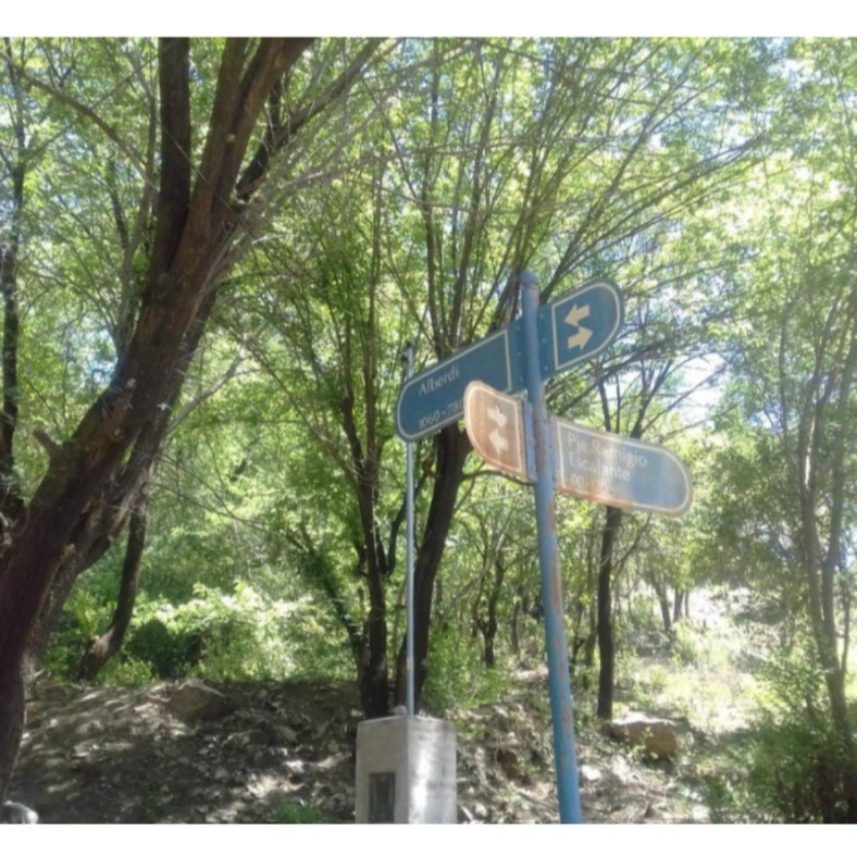 9300 m² – VENDO TERRENO 9300M2 EN RIO CEBALLOS