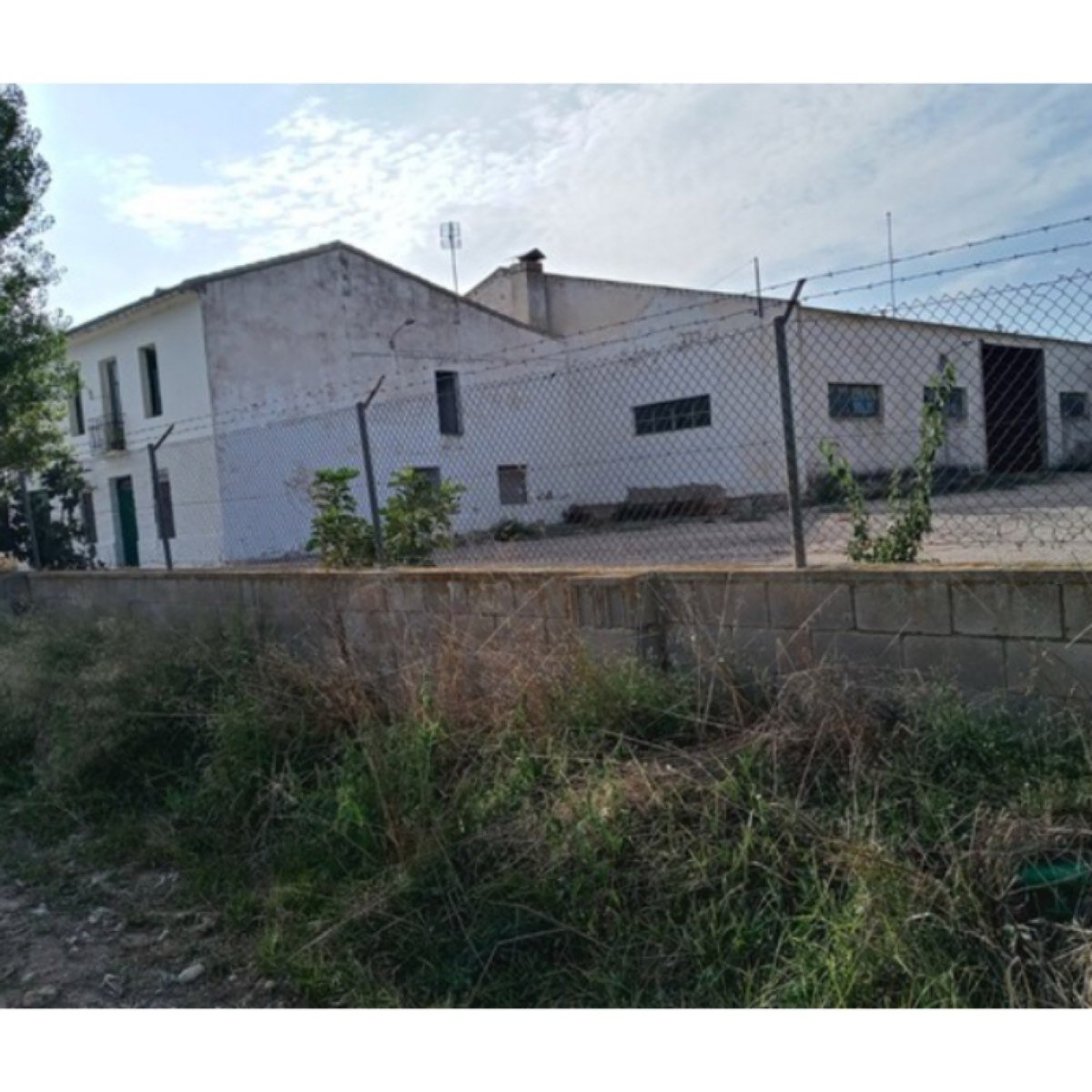 FINCA EN VILLENA
