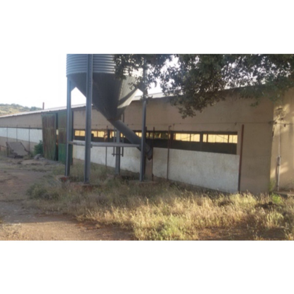 FINCA GRAN OPORTUNIDAD NEGOCIO