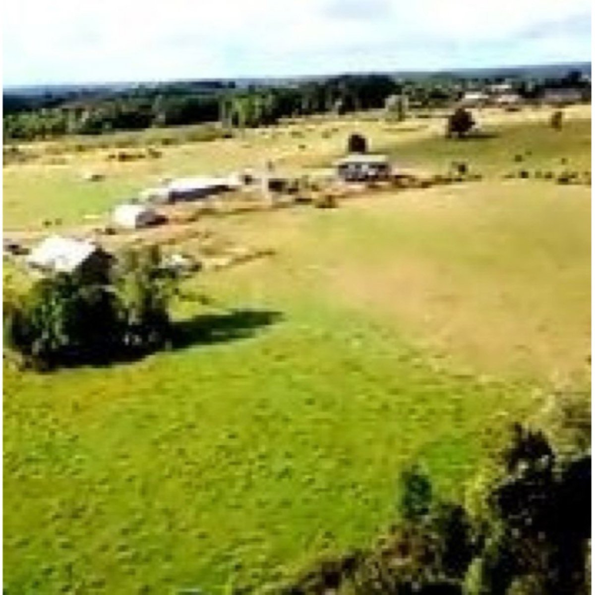 Campo 40 hectáreas cercano a Puerto Varas