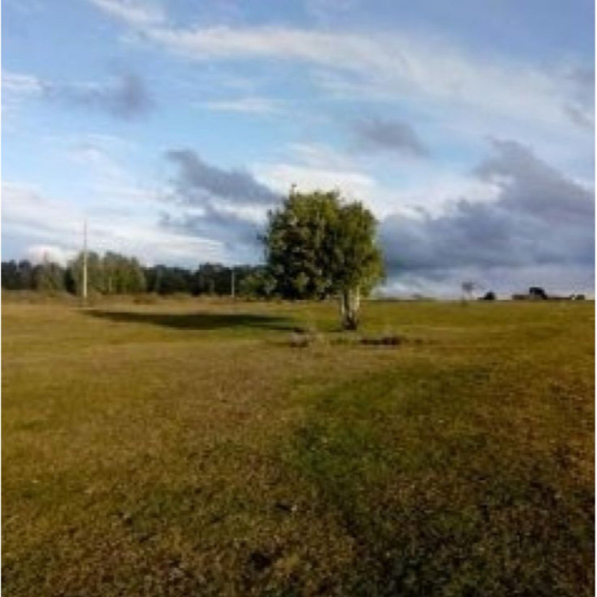Campo 40 hectáreas cercano a Puerto Varas