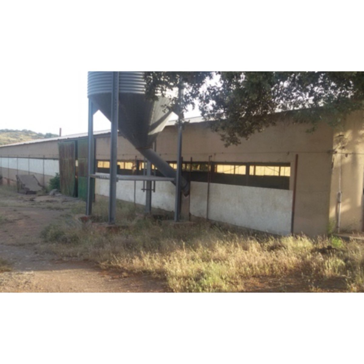 FINCA GRAN OPORTUNIDAD NEGOCIO