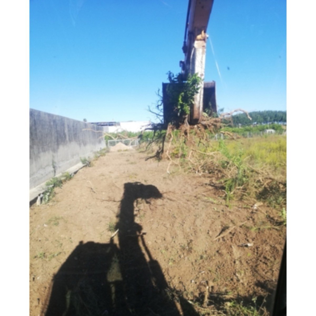 EXCAVACIONES Y TRANSFORMACIONES MOLINA
