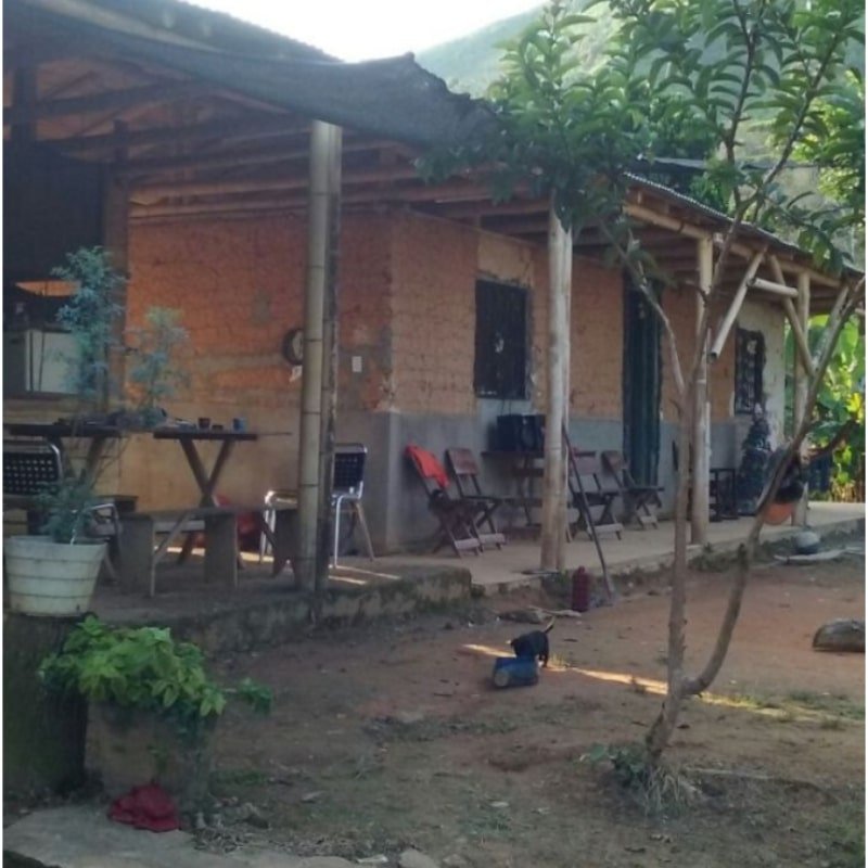 SE VENDE FINCA GANADERA, LERIDA TOLIMA, $ 300 MILL