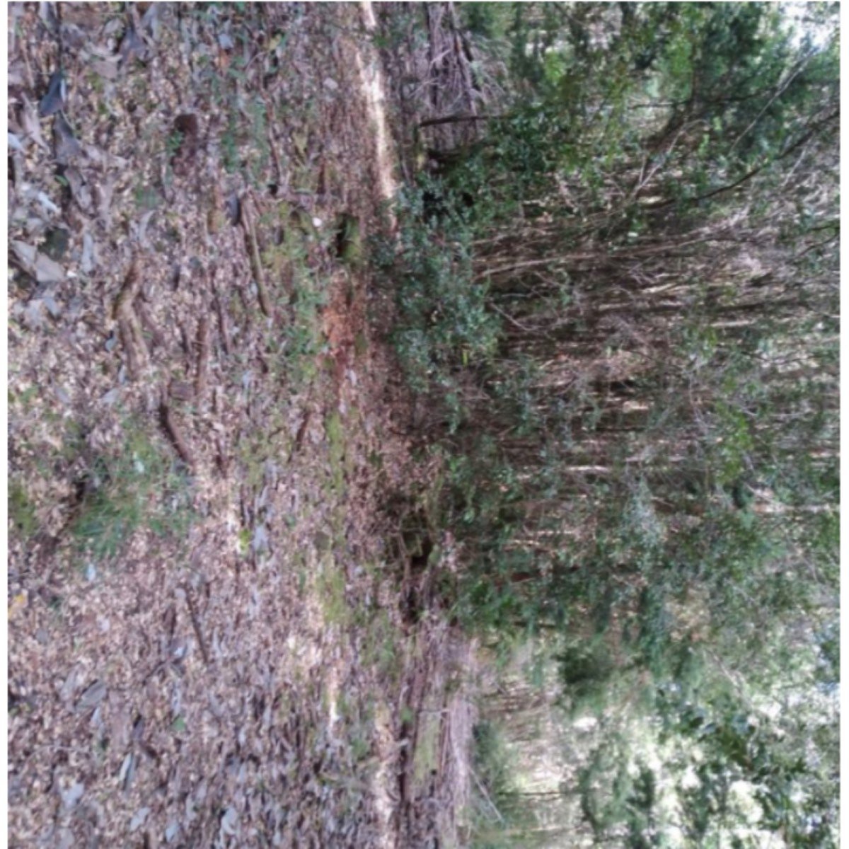 Venta de terreno