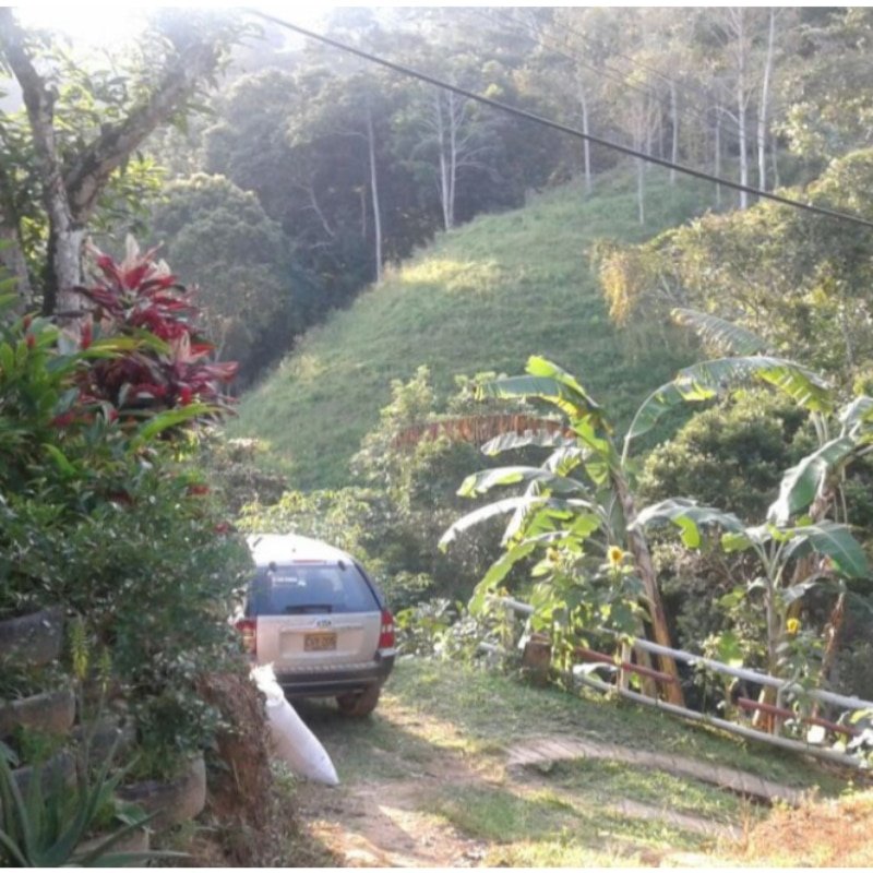 SE VENDE FINCA GANADERA, LERIDA TOLIMA, $ 300 MILL