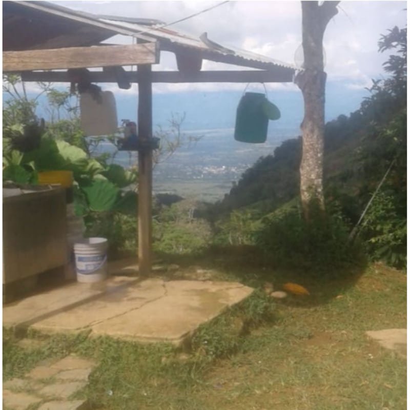 SE VENDE FINCA GANADERA, LERIDA TOLIMA, $ 300 MILL