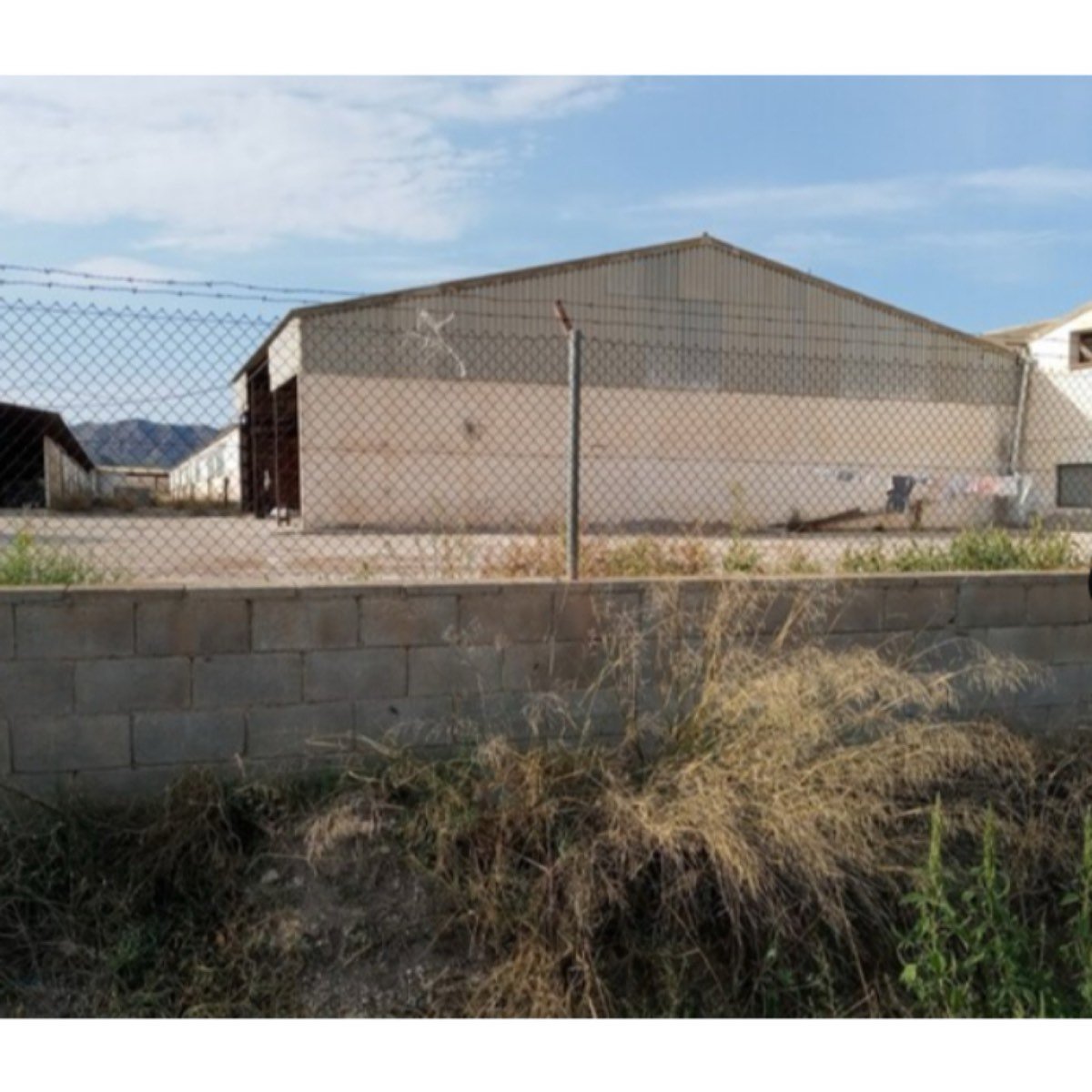FINCA EN VILLENA