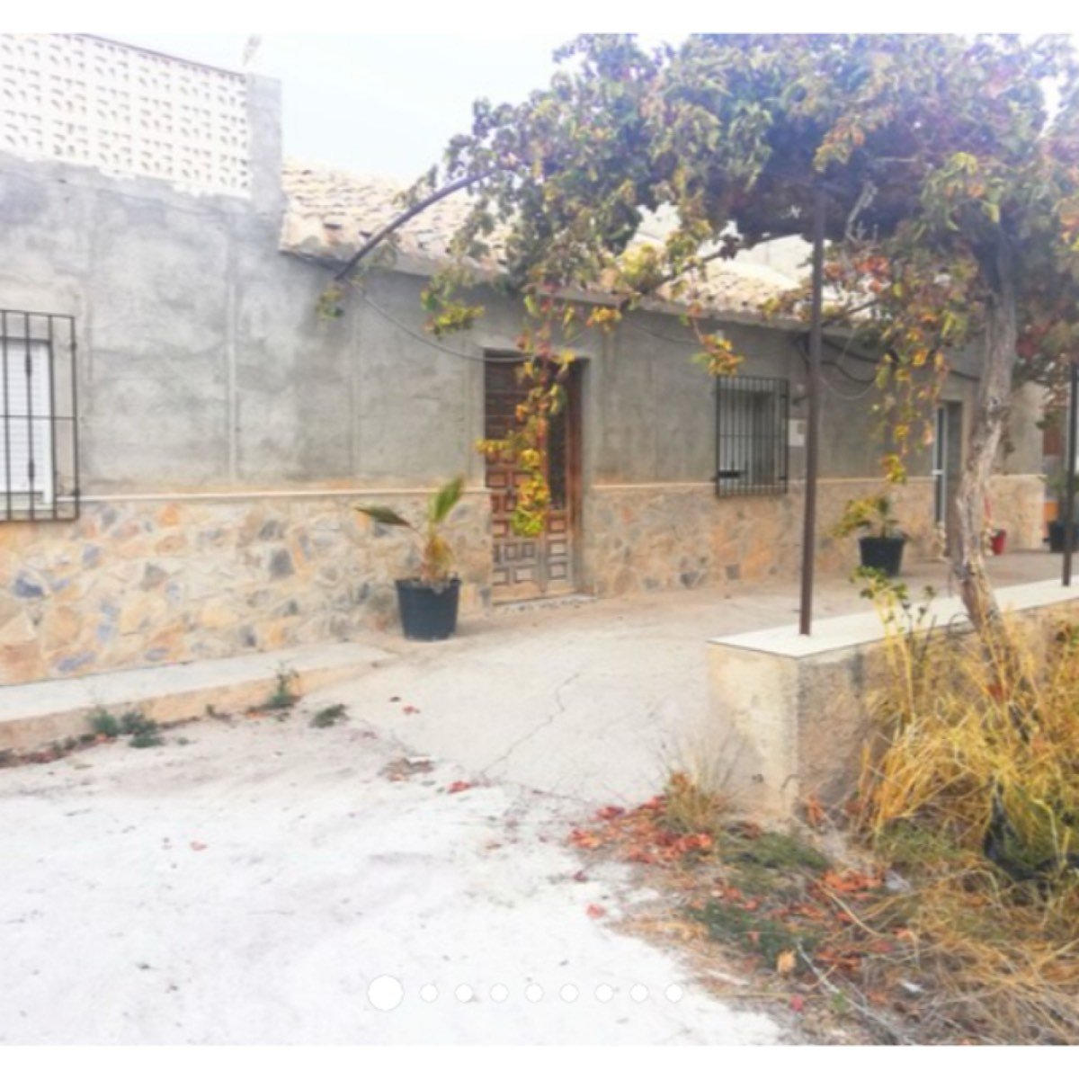 41