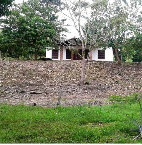 Finca Ganadera de 151 Hectáreas