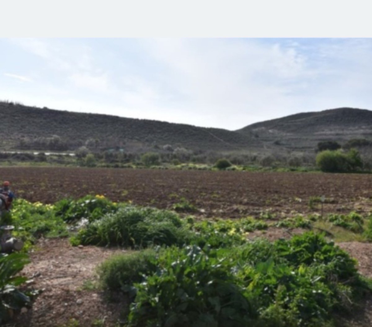 EXPLOTACION AGRÍCOLA REGADÍO CON CORTIJO