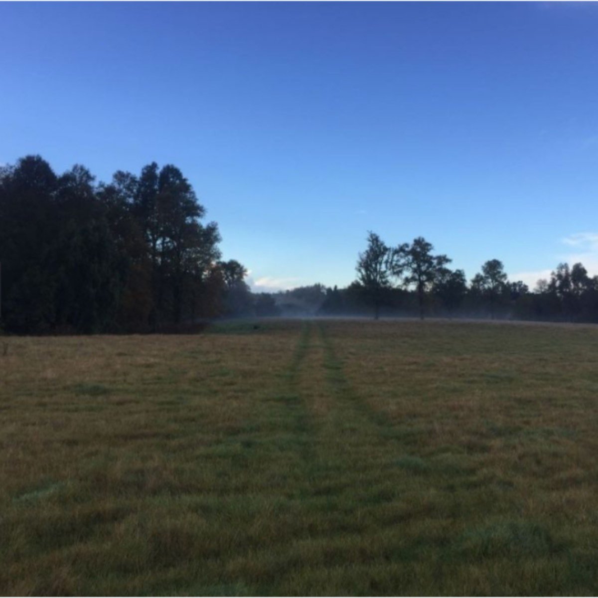 Extraordinario Campo 218 hectareas ganadero en Pue