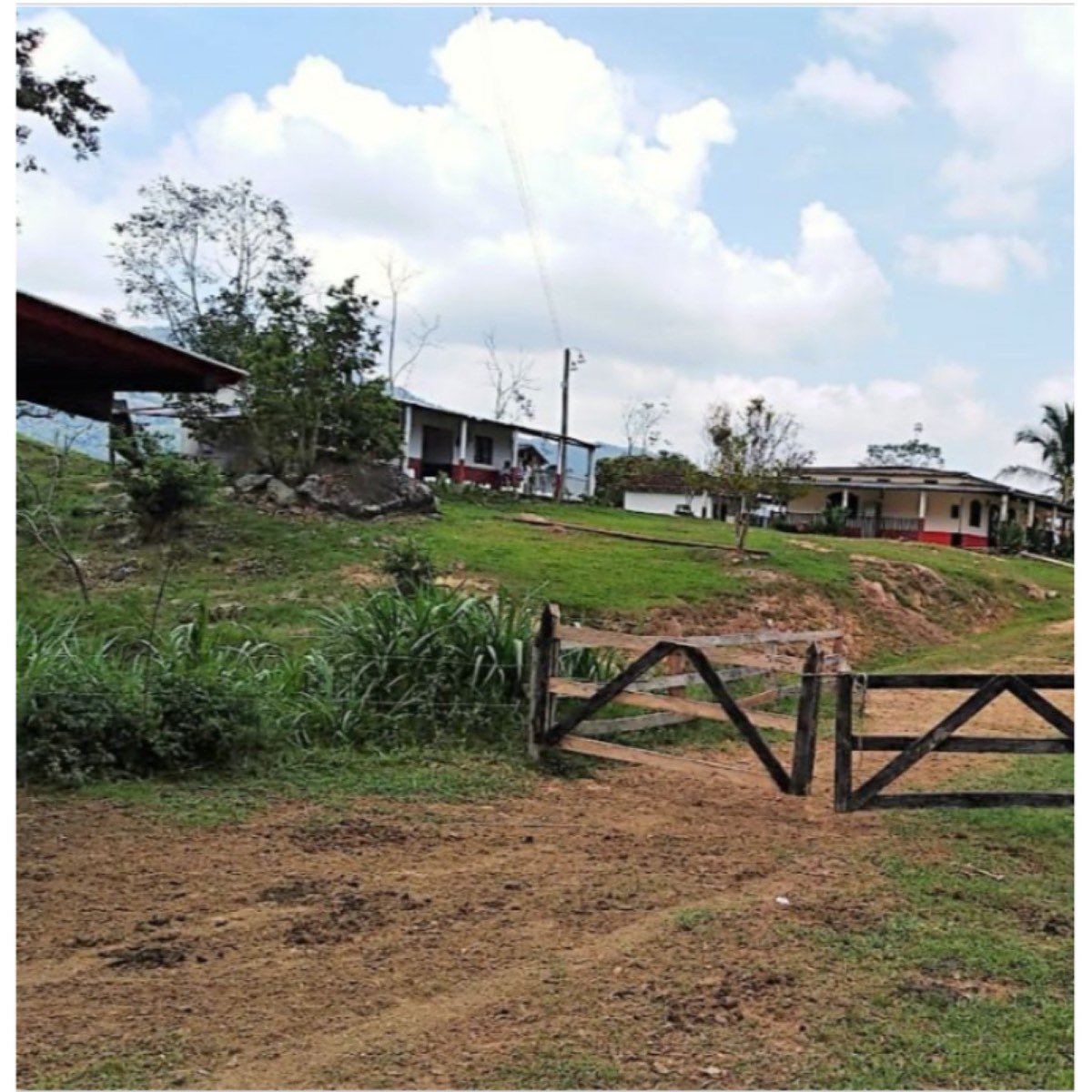 Finca de 130 Hectáreas