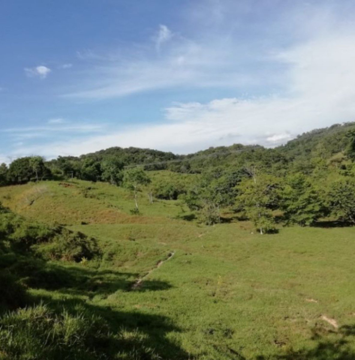 Finca Ganadera de 422 hectáreas En Lebrija.