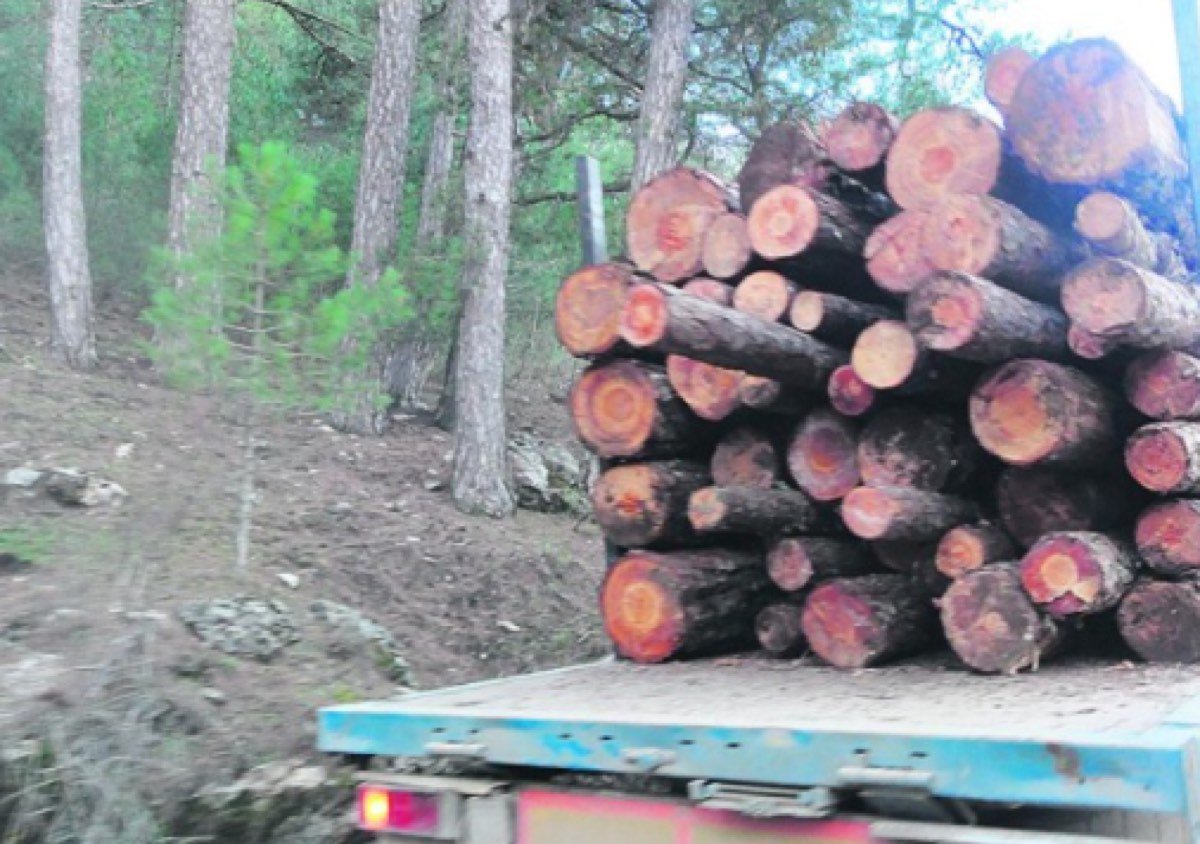SACA DE MADERA