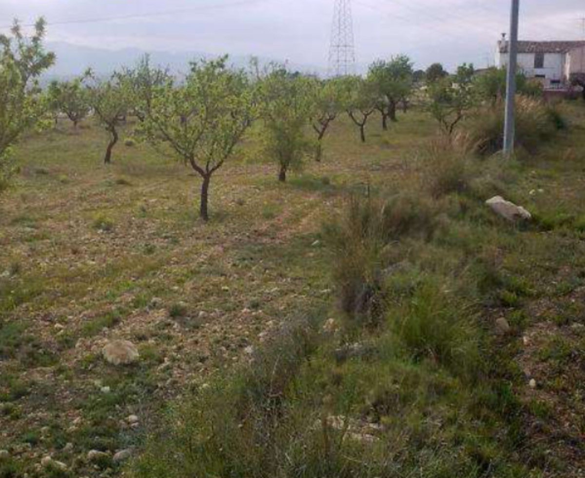 FINCA A 20 KM ALICANTE