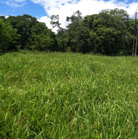 Finca Ganadera de 422 hectáreas