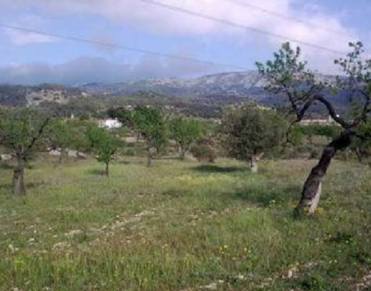 FINCA A 20 KM ALICANTE