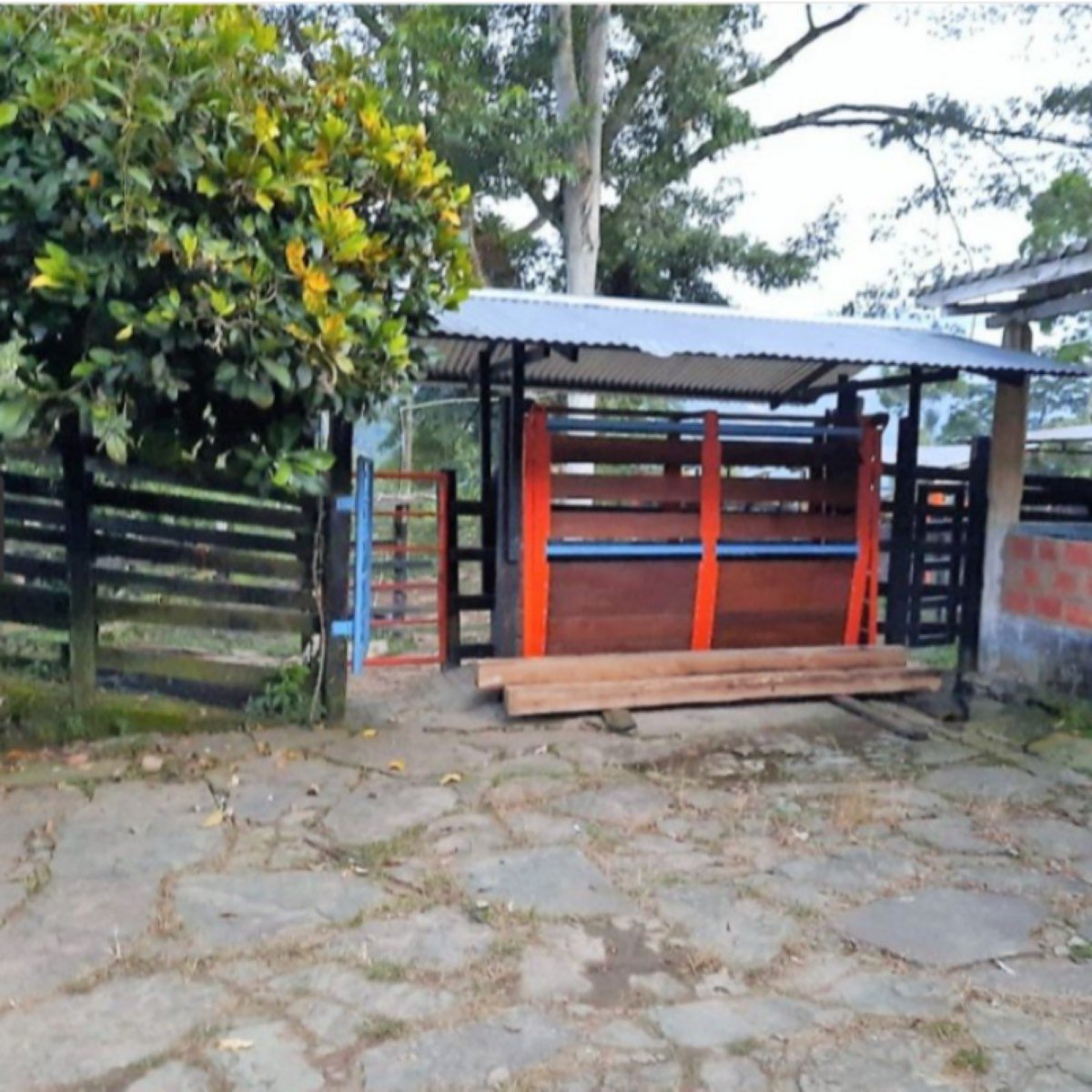 Finca de 140 Hectáreas