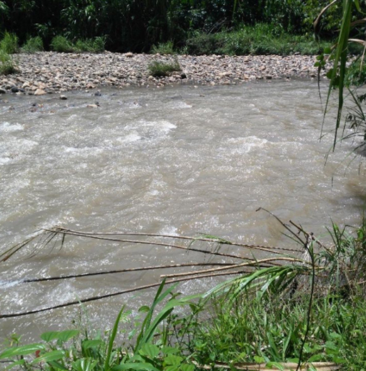 Finca Ganadera de 422 hectáreas
