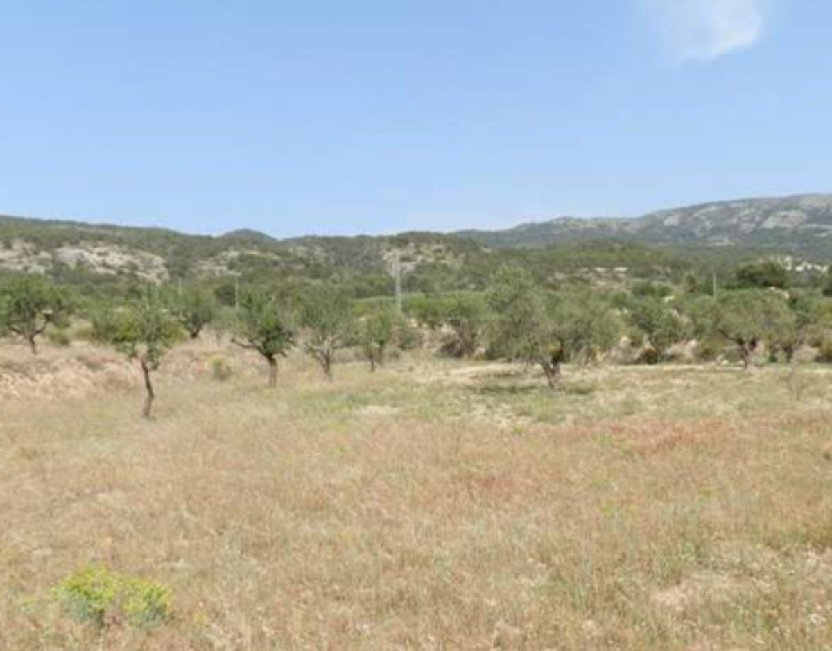 FINCA A 20 KM ALICANTE