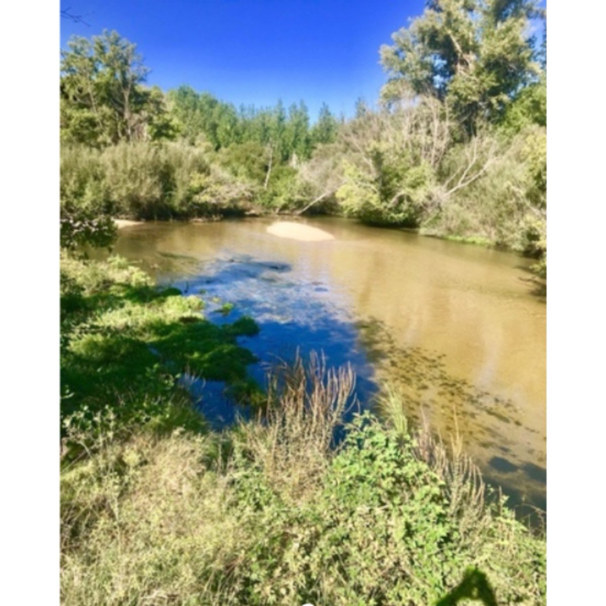 CARRETERA ALDEA DEL FRESNO-CALALBERCHE