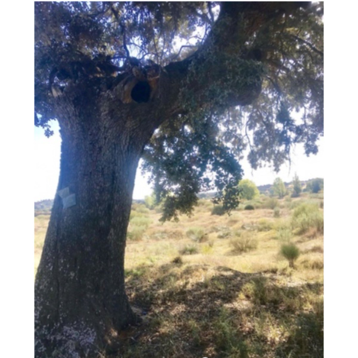 CARRETERA ALDEA DEL FRESNO-CALALBERCHE