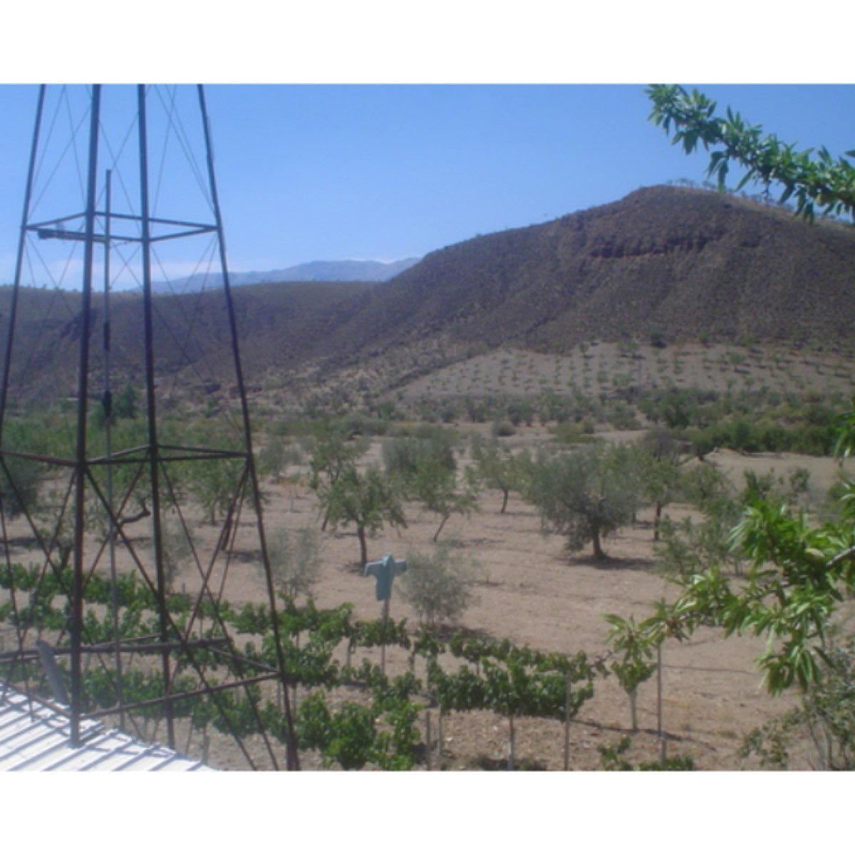 CORTIJO EN HUENEJA