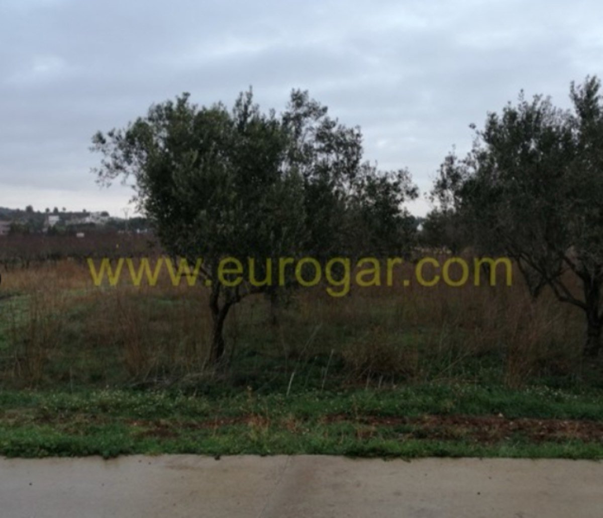 GRANJA LEGALIZADA PRÓXIMA A POBLACIÓN
