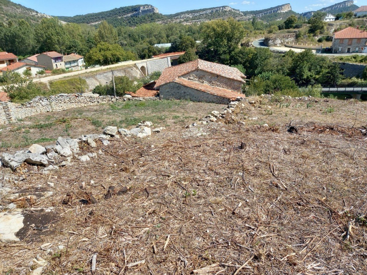 TerrenoArriba01