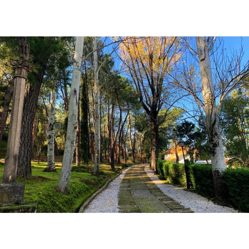 Casa rural en venta, Guadarrama